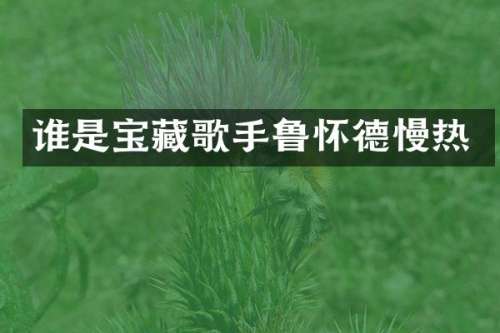 谁是宝藏歌手鲁怀德慢热