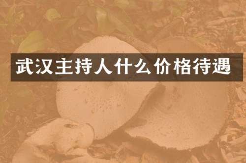 武汉主持人什么价格待遇