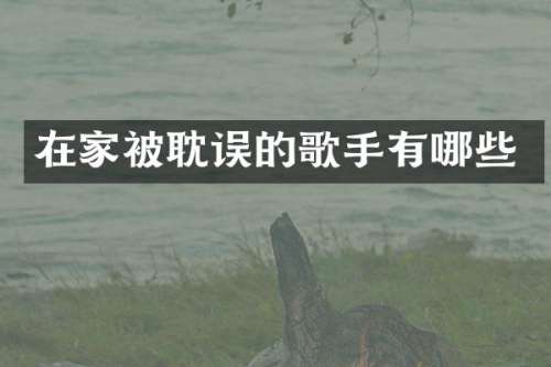在家被耽误的歌手有哪些