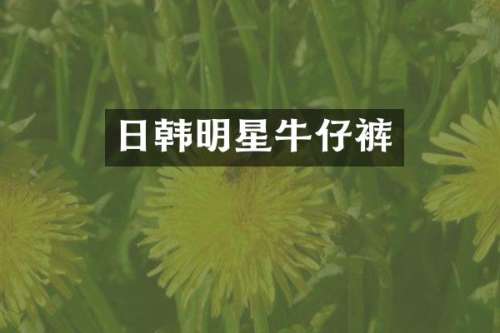 日韩明星牛仔裤