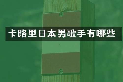 卡路里日本男歌手有哪些