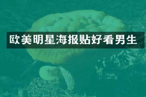 欧美明星海报贴好看男生