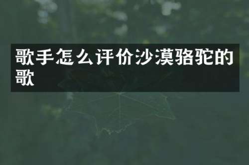 歌手怎么评价沙漠骆驼的歌