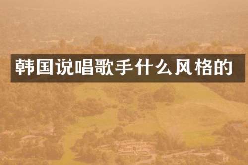 韩国说唱歌手什么风格的