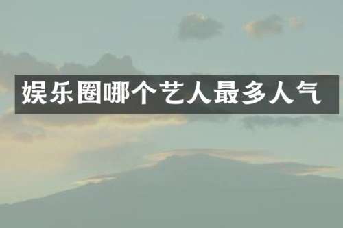 娱乐圈哪个艺人最多人气