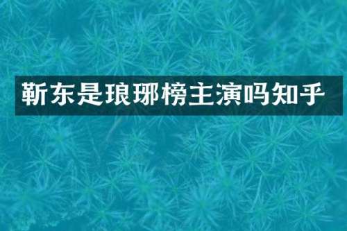 是琅琊榜主演吗知乎