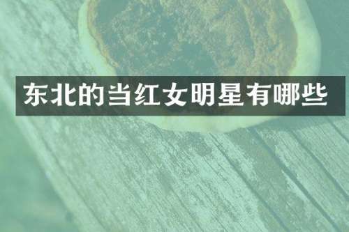 东北的当红女明星有哪些