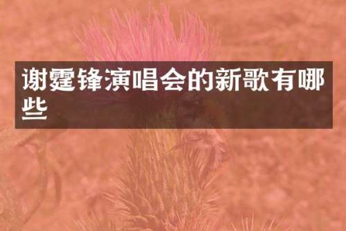 谢霆锋演唱会的新歌有哪些