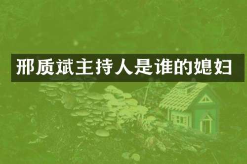 邢质斌主持人是谁的媳妇