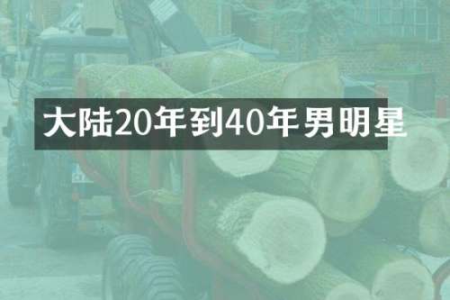 大陆20年到40年男明星