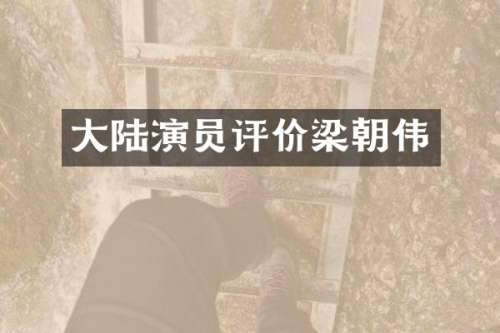 大陆演员评价梁朝伟