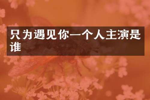 只为遇见你一个人主演是谁