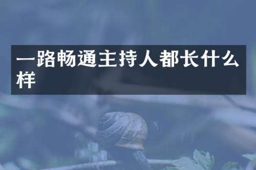一路畅通主持人都长什么样