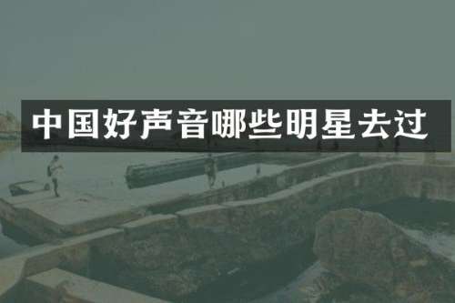 中国好声音哪些明星去过
