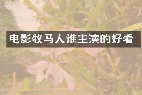 电影牧马人谁主演的好看