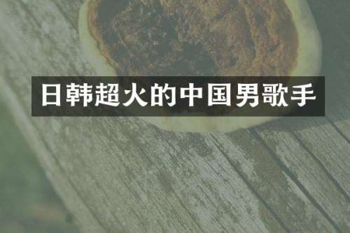 日韩超火的中国男歌手