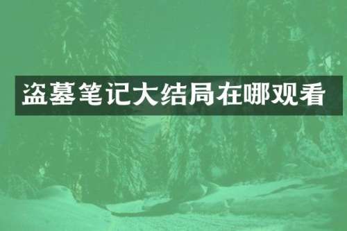 盗墓笔记大结局在哪观看