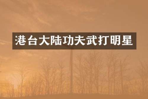 港台大陆功夫武打明星