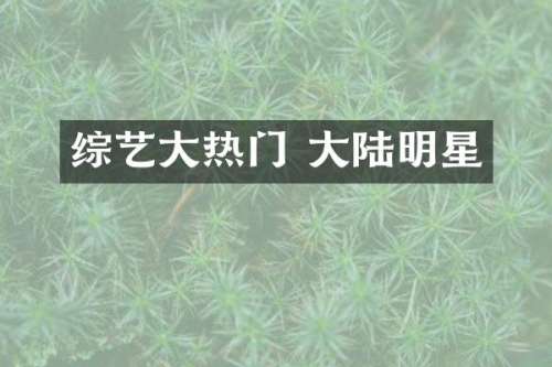 综艺大热门 大陆明星