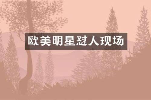 欧美明星怼人现场