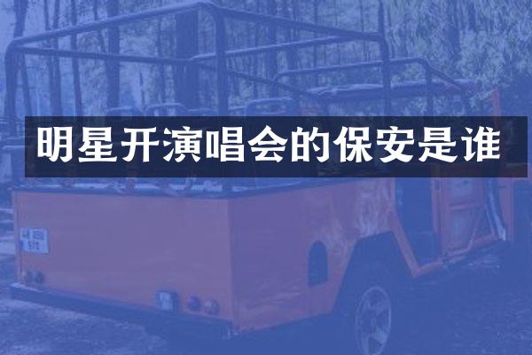 明星开演唱会的保安是谁