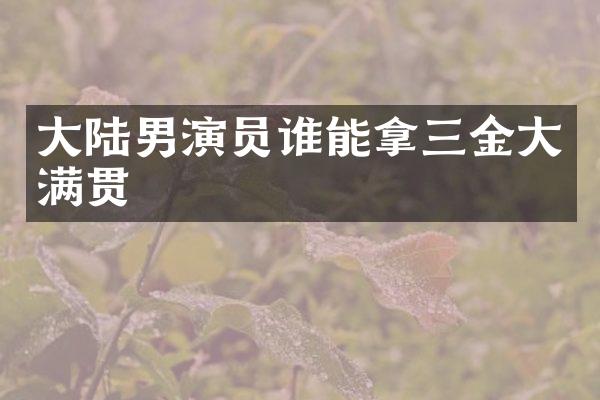 大陆男演员谁能拿三金