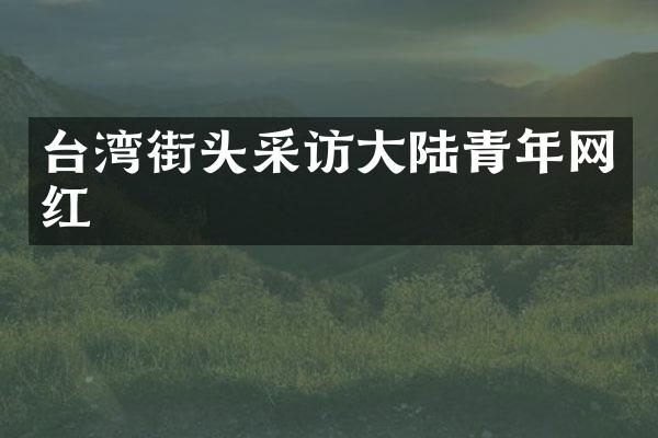 台湾街头采访大陆青年网红