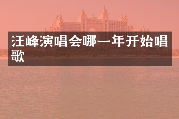 汪峰演唱会哪一年开始唱歌