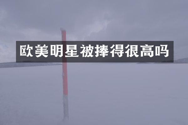 欧美明星被捧得很高吗