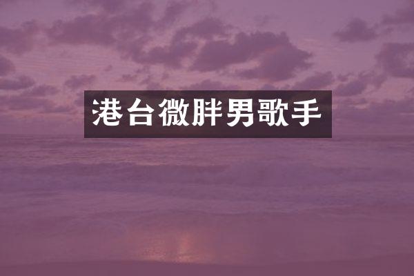 港台微胖男歌手