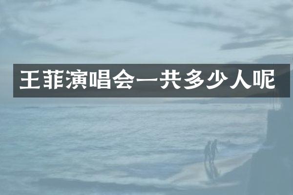 王菲演唱会一共多少人呢