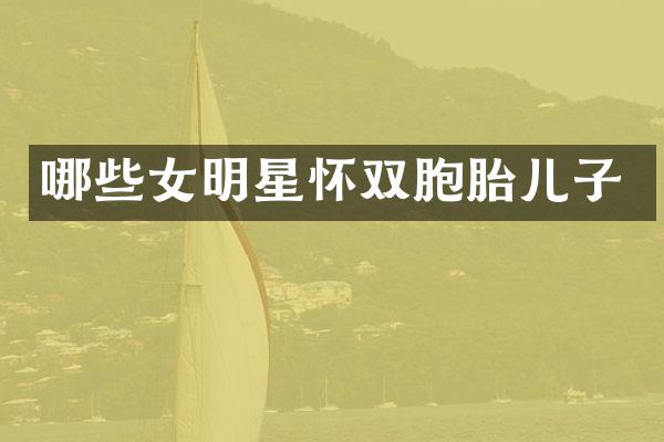 哪些女明星怀双胞胎儿子