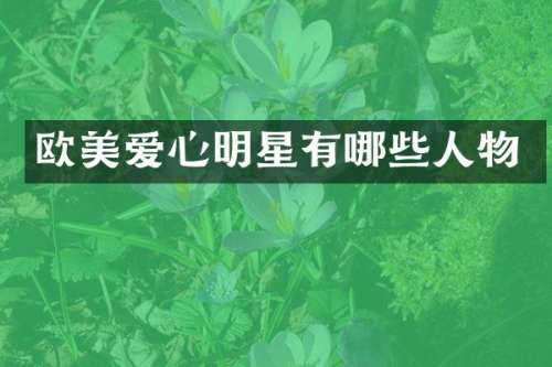 欧美爱心明星有哪些人物