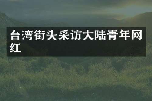 台湾街头采访大陆青年网红