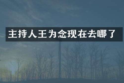 主持人王为念现在去哪了