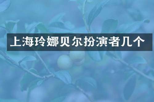 上海玲娜贝尔扮演者几个