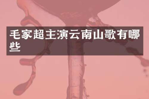 毛家超主演云南山歌有哪些