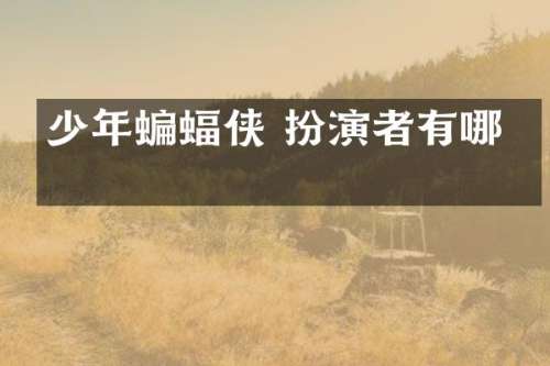 少年蝙蝠侠 扮演者有哪些