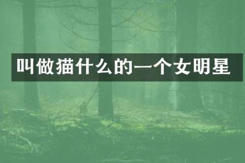 叫做猫什么的一个女明星