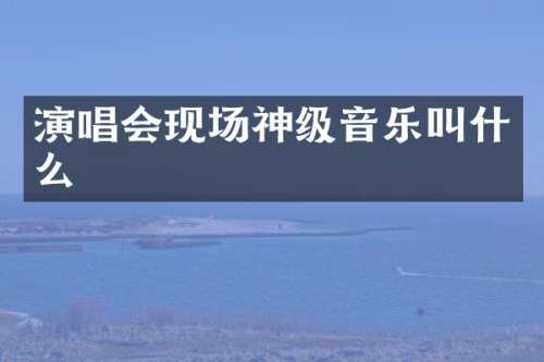 演唱会现场神级音乐叫什么