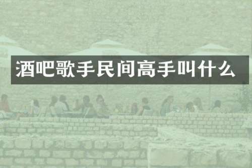 酒吧歌手民间高手叫什么