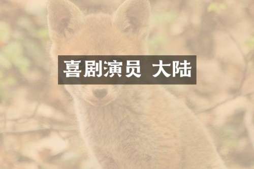 喜剧演员 大陆