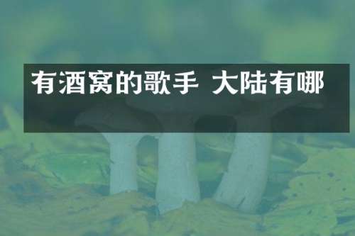 有酒窝的歌手 大陆有哪些
