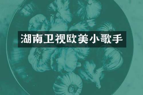 湖南卫视欧美小歌手