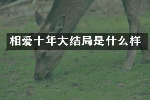 相爱十年大结局是什么样