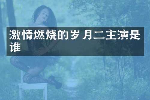 燃烧的岁月二主演是谁