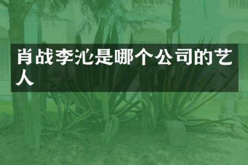 肖战李沁是哪个公司的艺人