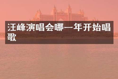 汪峰演唱会哪一年开始唱歌