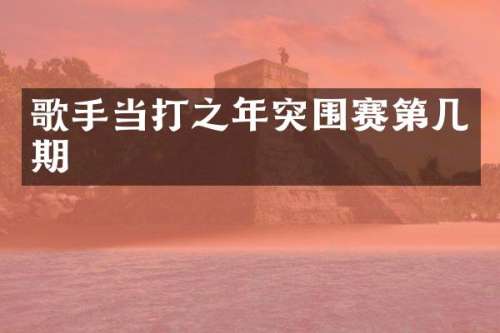 歌手当打之年突围赛第几期