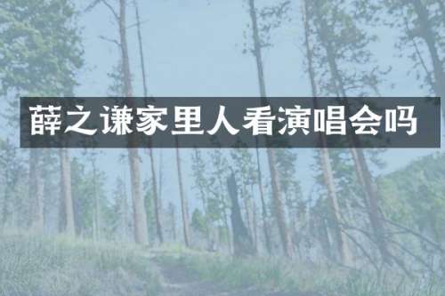 薛之谦家里人看演唱会吗